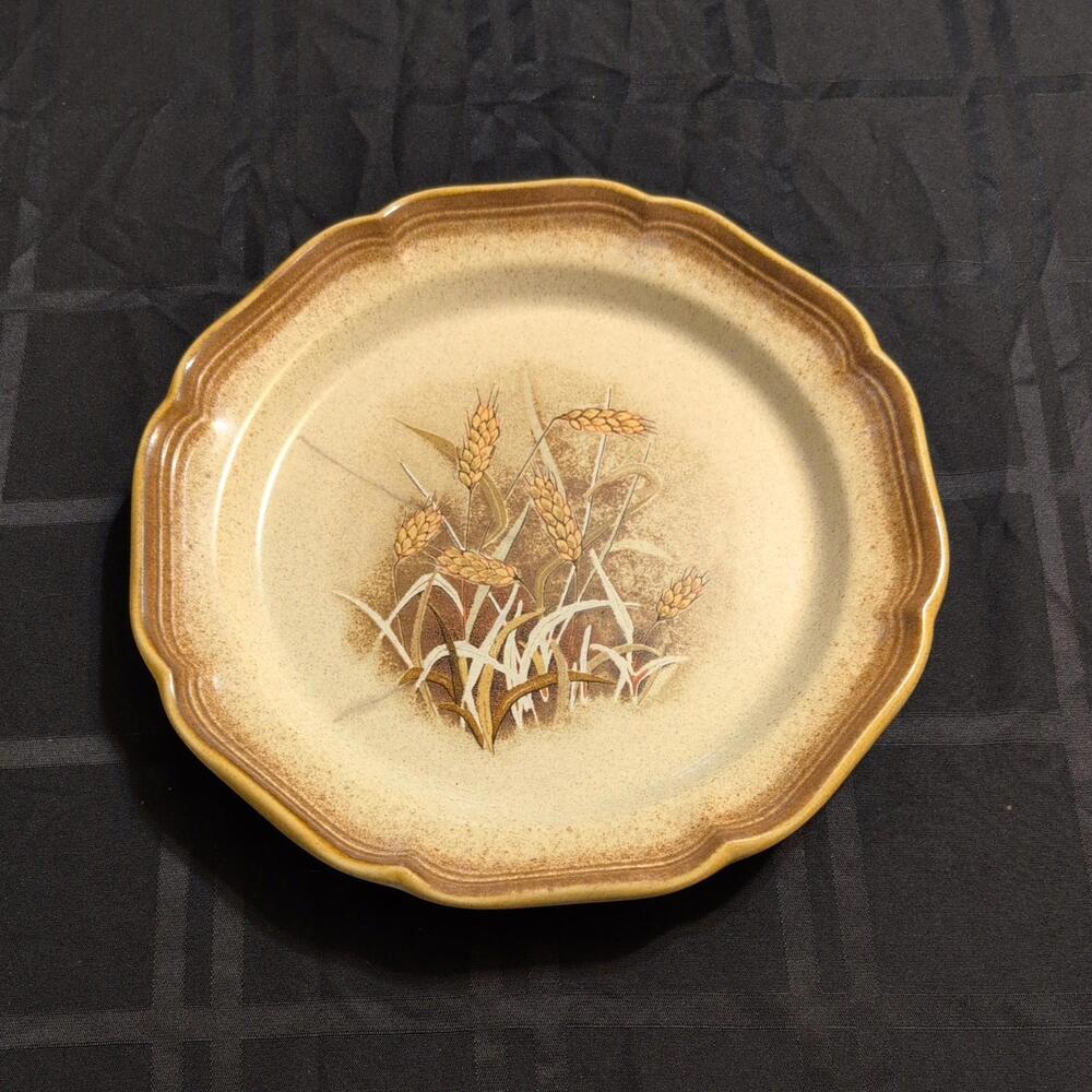 Vintage Mikasa Whole Wheat Granola E8001 Dinner Plate.